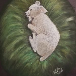 Original Rendition of Man's Best Friend